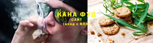 гидра Богородск