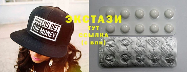 гидра Богородск