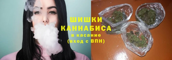 кокс Богородицк