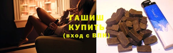 гидра Богородск