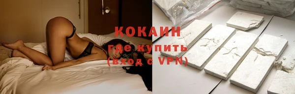 гидра Богородск