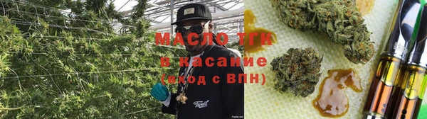 гидра Богородск