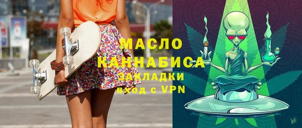 гидра Богородск