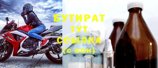 гидра Богородск