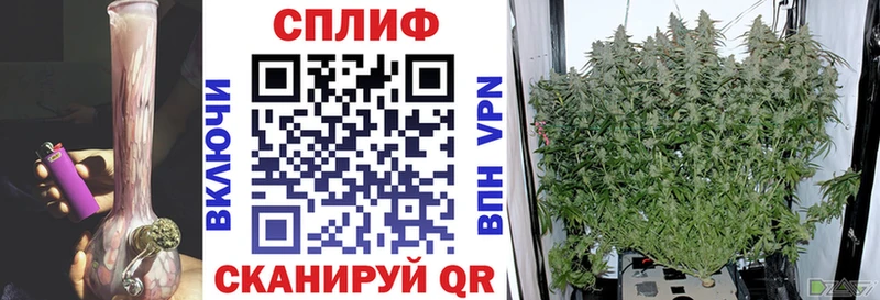 Купить где  Кохма  Конопля OG Kush 